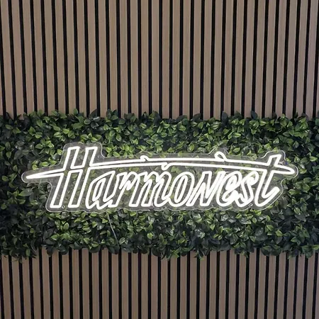 Harmonest Rheydt Mönchengladbach