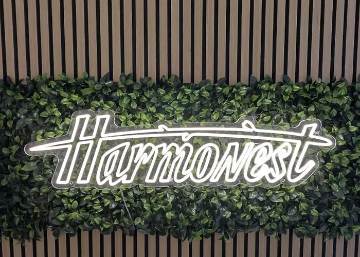 Harmonest Rheydt Mönchengladbach